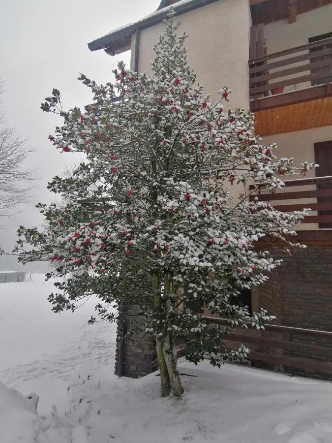 Grande Casa Di Famiglia Lägenhet Temù Exteriör bild